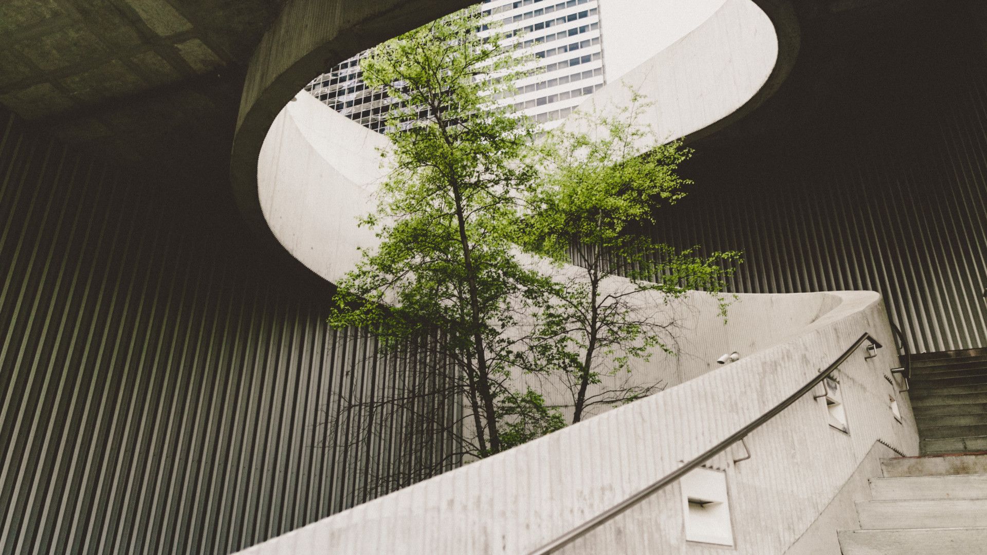 Green tree growing through the middle of circular winding concrete stairs