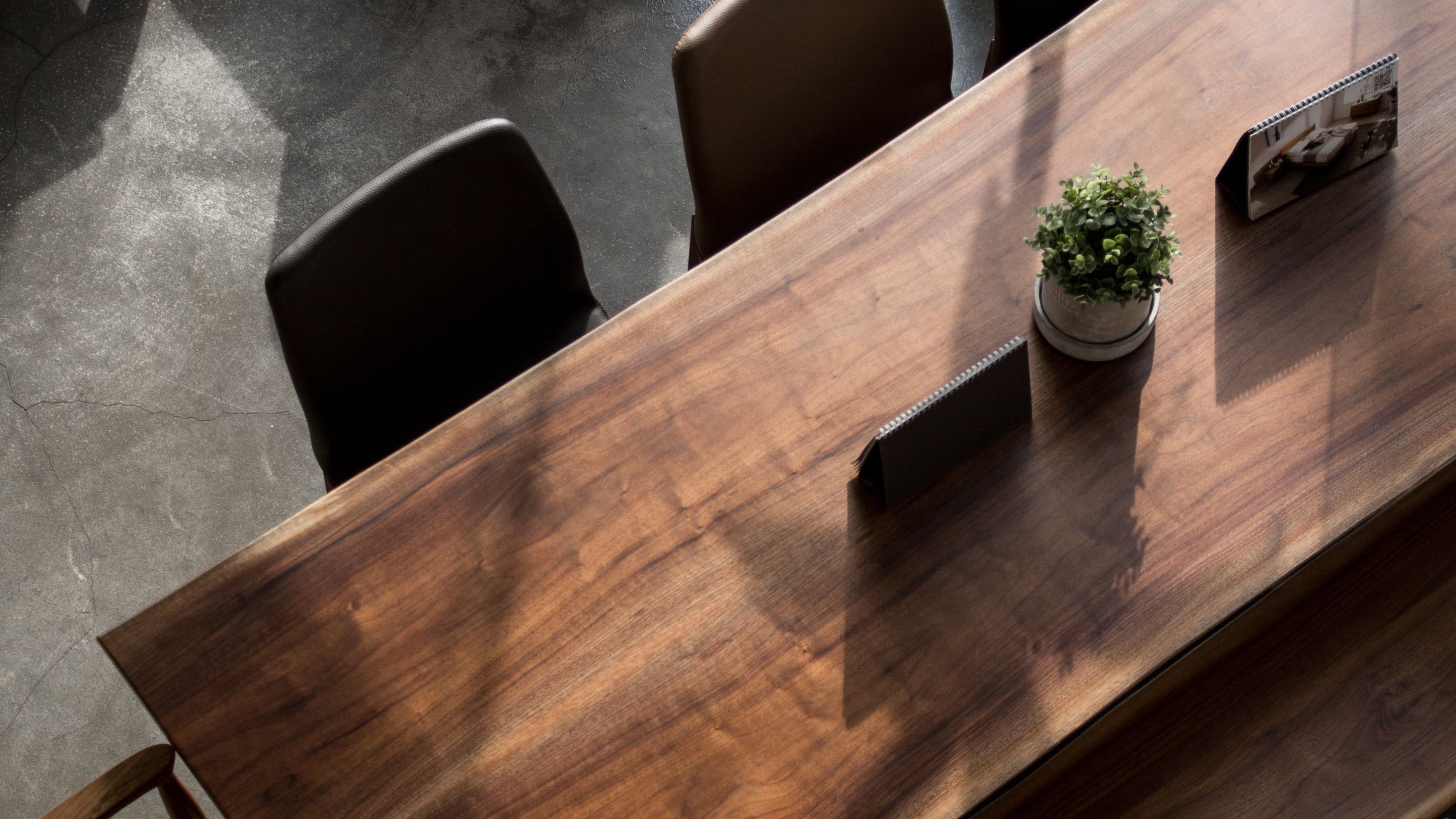 Corporate boardroom table with a pot plant on it